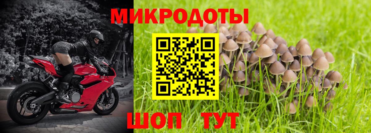 Саров  Псилоцибиновые грибы GOLDEN TEACHER  Вход с VPN 
